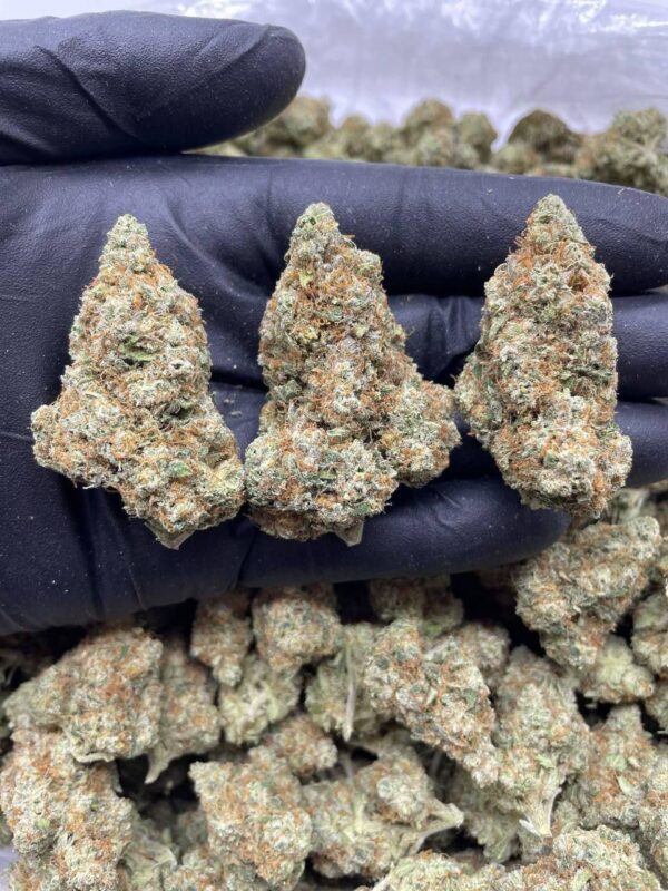 fire candy strain