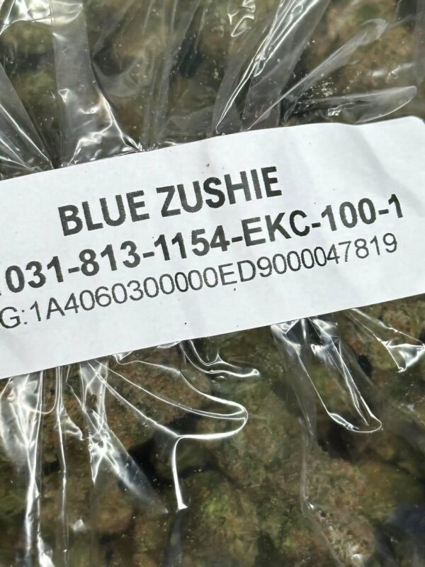 blue zushi strain price