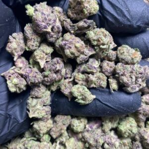 purple nerdz strain