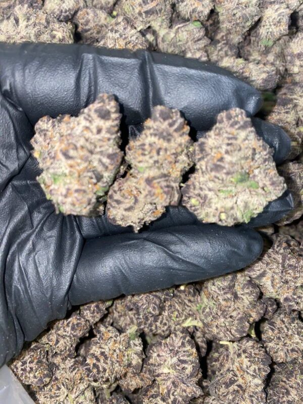 cosmo candy strain