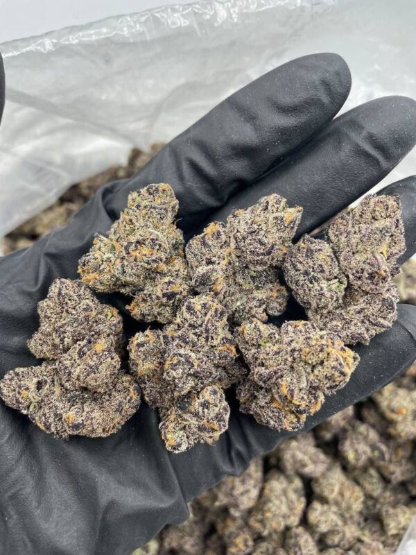 purple marshmallow strain