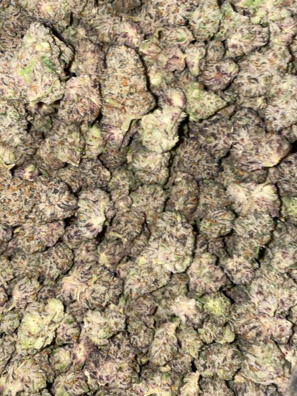 pink truffles strain