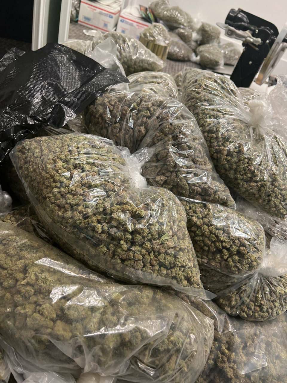 buy pounds of weed online