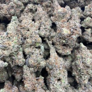 government oasis strain review