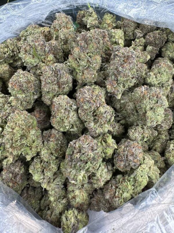 grape octane strain